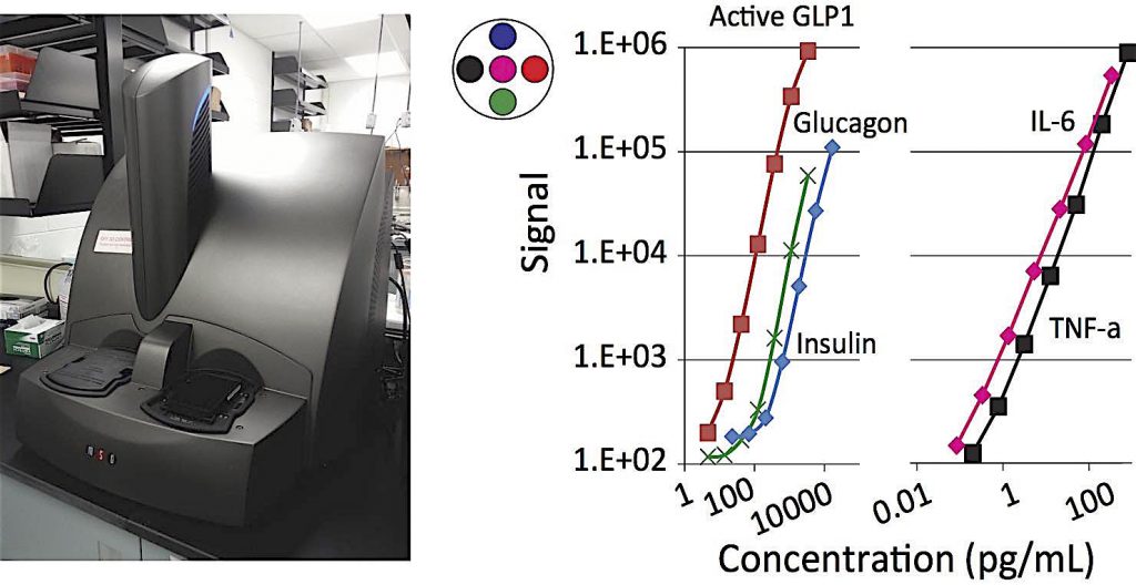 meso scale diagnostics v roche